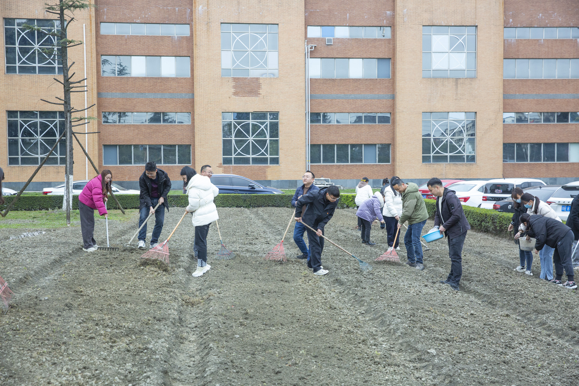 植树节 | 安博app登录入口开展“植此青绿，拥抱春天”植树节活动